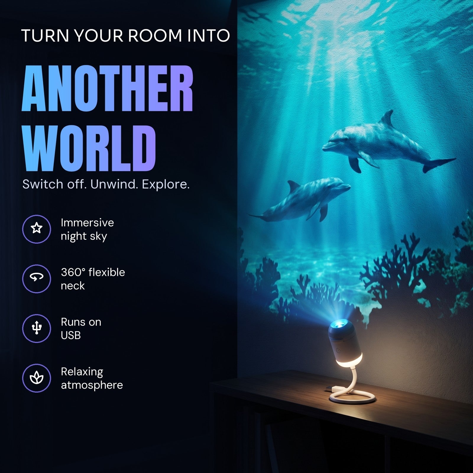 Dolphins and sun rays on a bedroom wall